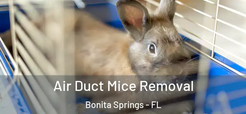 Air Duct Mice Removal Bonita Springs - FL