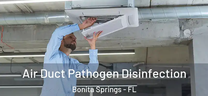 Air Duct Pathogen Disinfection Bonita Springs - FL