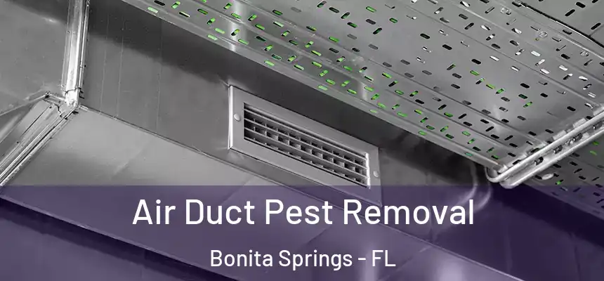 Air Duct Pest Removal Bonita Springs - FL