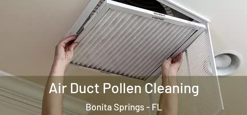 Air Duct Pollen Cleaning Bonita Springs - FL