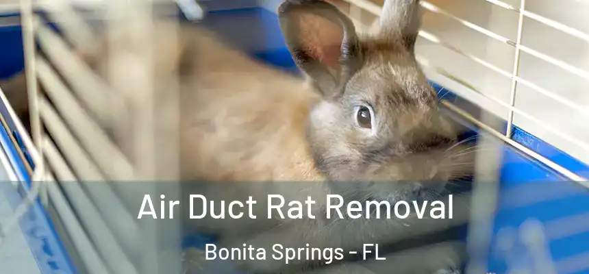 Air Duct Rat Removal Bonita Springs - FL