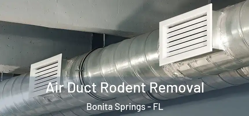 Air Duct Rodent Removal Bonita Springs - FL