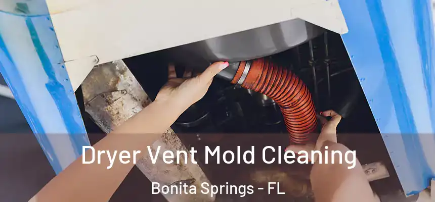  Dryer Vent Mold Cleaning Bonita Springs - FL