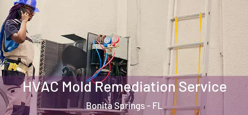  HVAC Mold Remediation Service Bonita Springs - FL