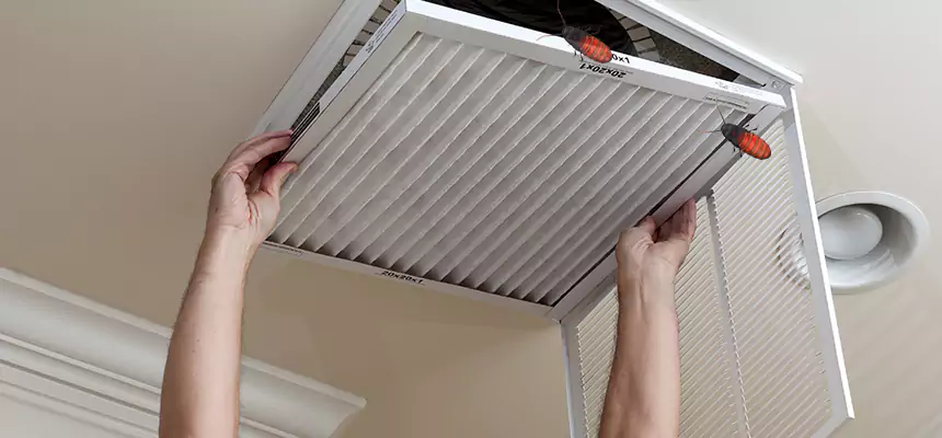Our Insect Removal from Air Ducts Services in Bonita Springs, FL
