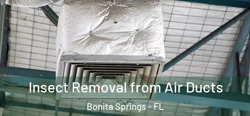 Insect Removal from Air Ducts Bonita Springs - FL
