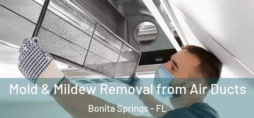 Mold & Mildew Removal from Air Ducts Bonita Springs - FL