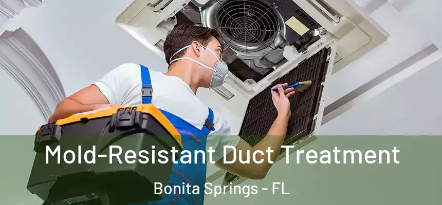 Mold-Resistant Duct Treatment Bonita Springs - FL