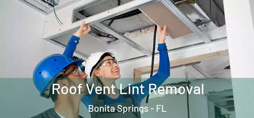 Roof Vent Lint Removal Bonita Springs - FL