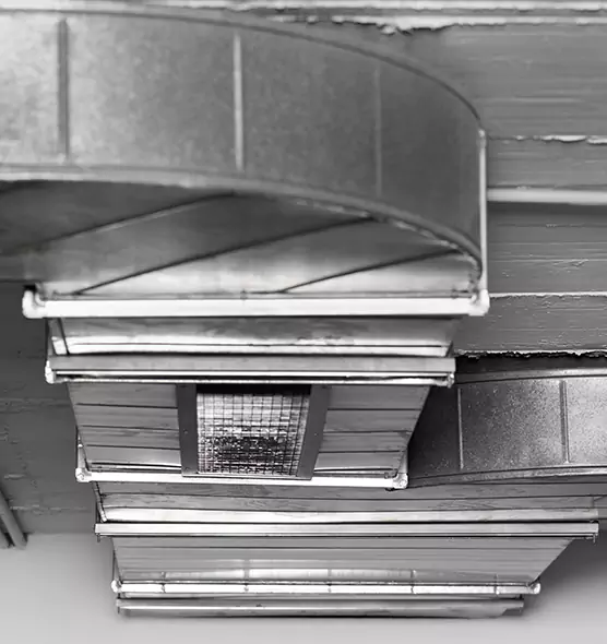 Professional Air Duct Pet Hair Removal in Bonita Springs, FL