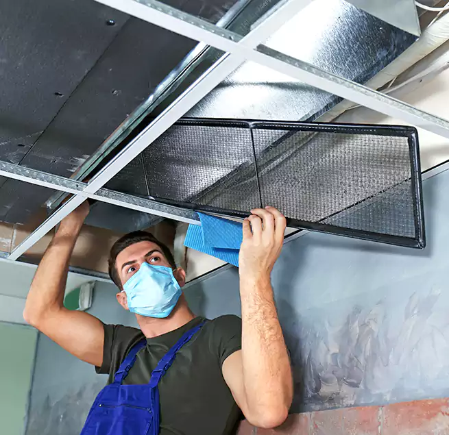 Why Homeowners Businesses Trust Us in Bonita Springs, FL