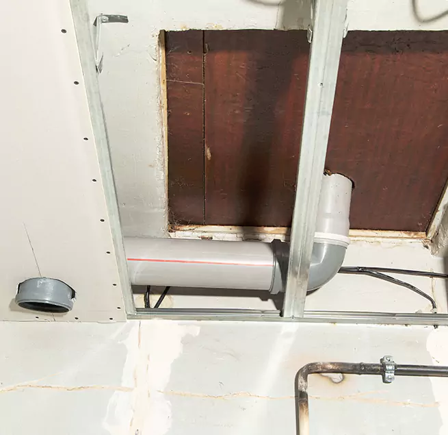 Why Homeowners & Businesses Trust Us in Bonita Springs, FL?