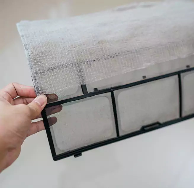 Why Homeowners & Businesses Trust Us in Bonita Springs, FL?