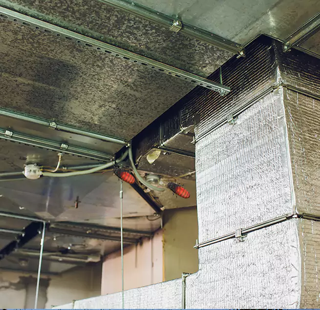 Why Homeowners & Businesses Trust Us Bonita Springs, FL?