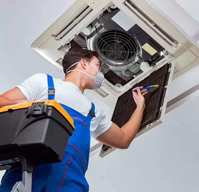 Why Homeowners & Businesses Trust Us in Bonita Springs, FL?